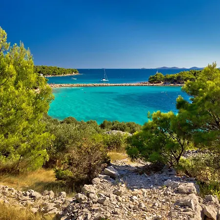 In 7658 Vodice